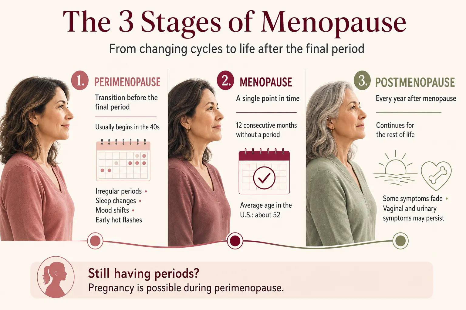 Perimenopause, menopause and postmenopause stages with typical ages, symptoms and timeline.