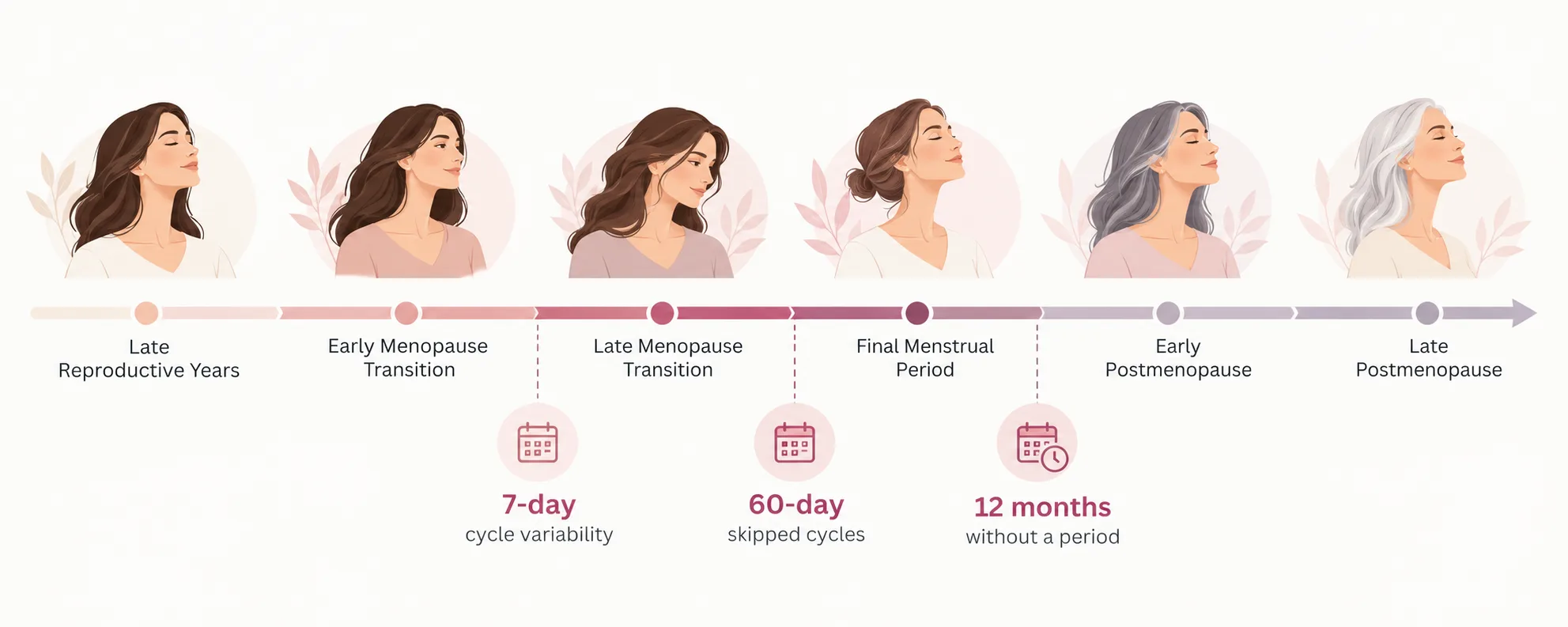 Calendar illustrating the final menstrual period and 12-month rule for retrospectively confirming menopause.
