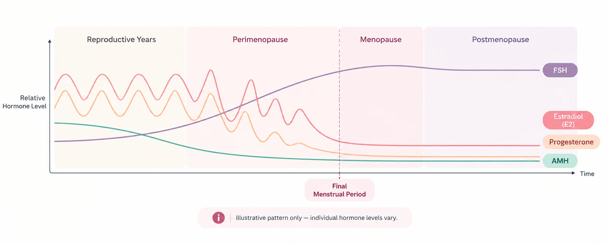 Illustrative graph showing changing estradiol, progesterone, FSH, and AMH levels across the menopause transition.
